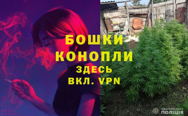 прущие грибы Балахна
