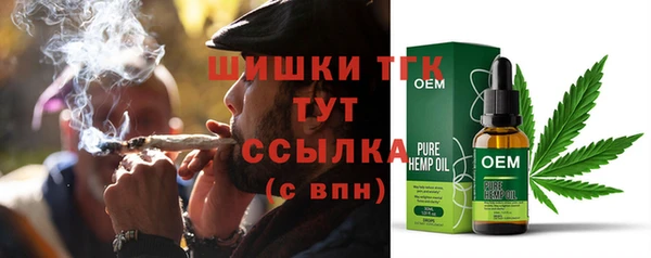 крисы Осинники