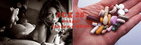 прущие грибы Балахна