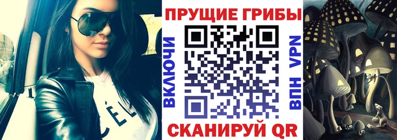 mega сайт  Черепаново  Псилоцибиновые грибы Psilocybe 